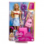 Barbie Travel Barbie Malibu 2.0